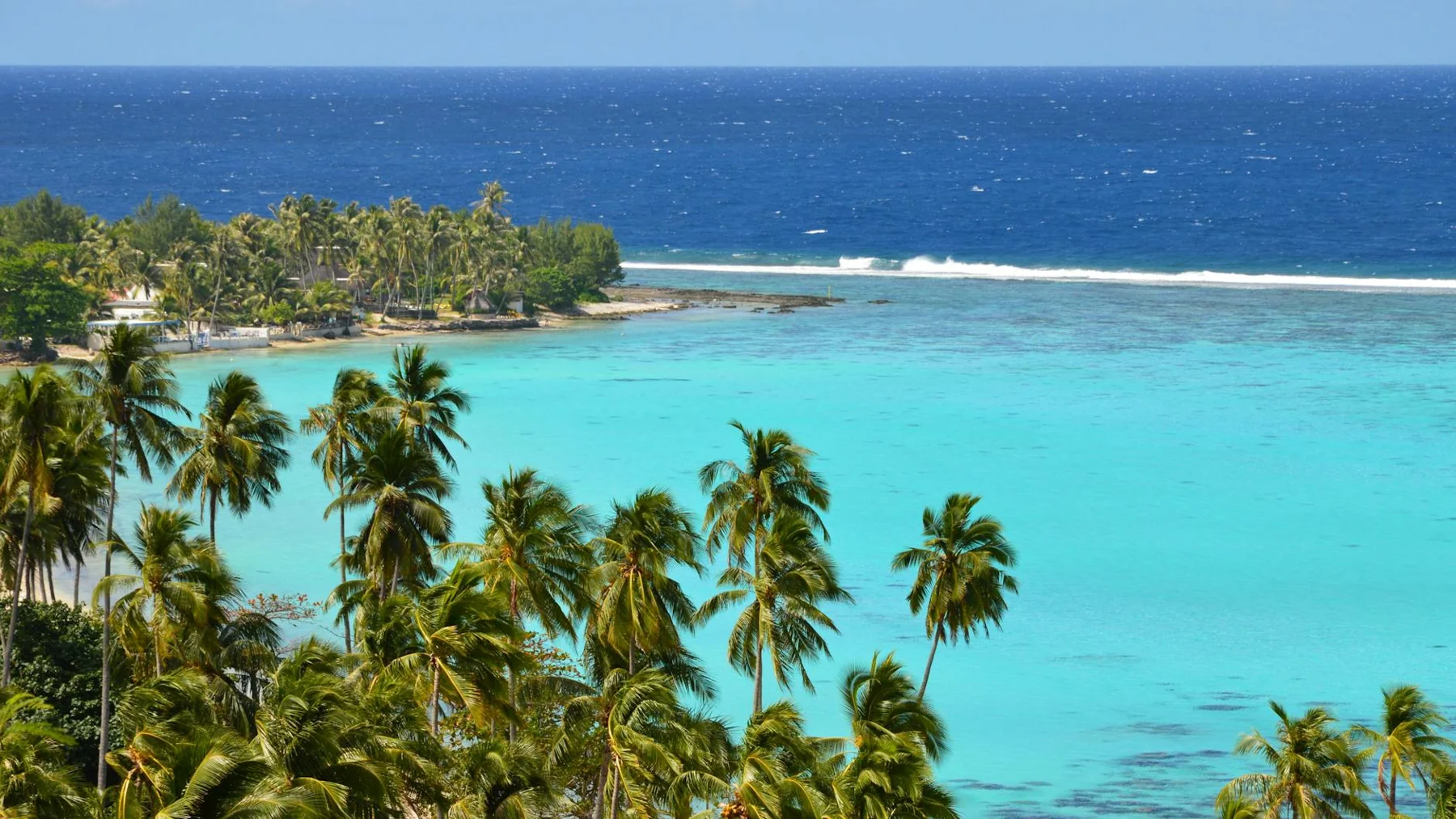 Aerial view of a tropical island with turquoise water and lush palm trees.